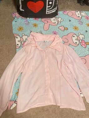 Pink Sheer Button-Down Blouse